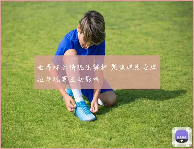 世界杯竞猜玩法解析 聚焦规则合规性与观赛互动影响