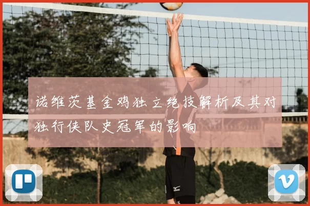 诺维茨基金鸡独立绝技解析及其对独行侠队史冠军的影响