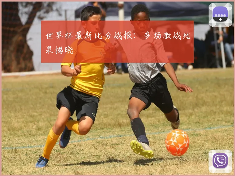 世界杯最新比分战报：多场激战结果揭晓