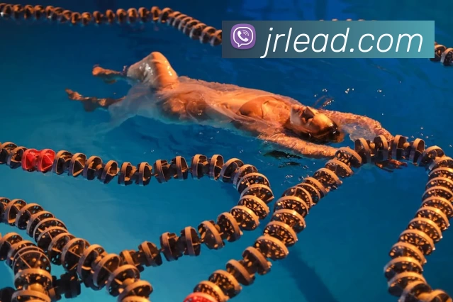 Galaxy·银河国际(中国) - 官方网站APP 体育赛事宣传图